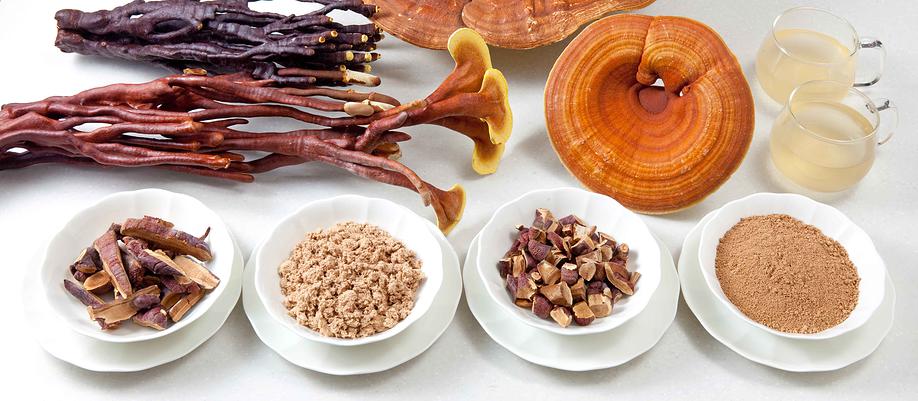 Reishi (Ganoderma lucidum) ed alcuni tipi di sue lavorazioni Reishi (Ganoderma lucidum) ed alcuni tipi di sue lavorazioni