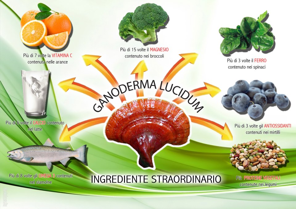 Comparazione tra i valori nutrizionali del Reishi ganoderma ed alcuni alimenti Comparazione tra i valori nutrizionali del Reishi ganoderma ed alcuni alimenti